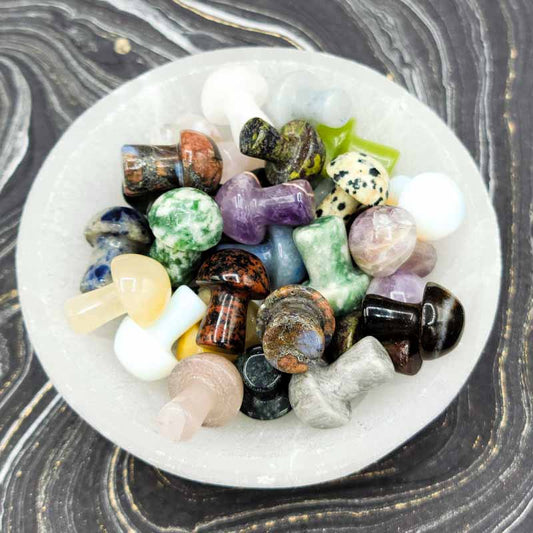 Mini Crystal Mushrooms | Assorted - Spiral Circle