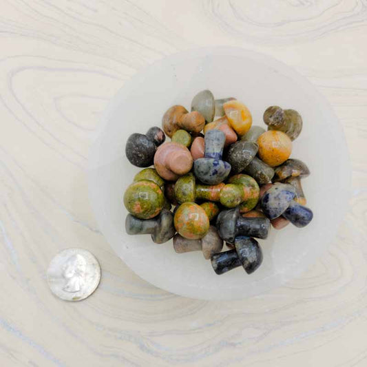 Mini Crystal Mushrooms | Assorted - Spiral Circle