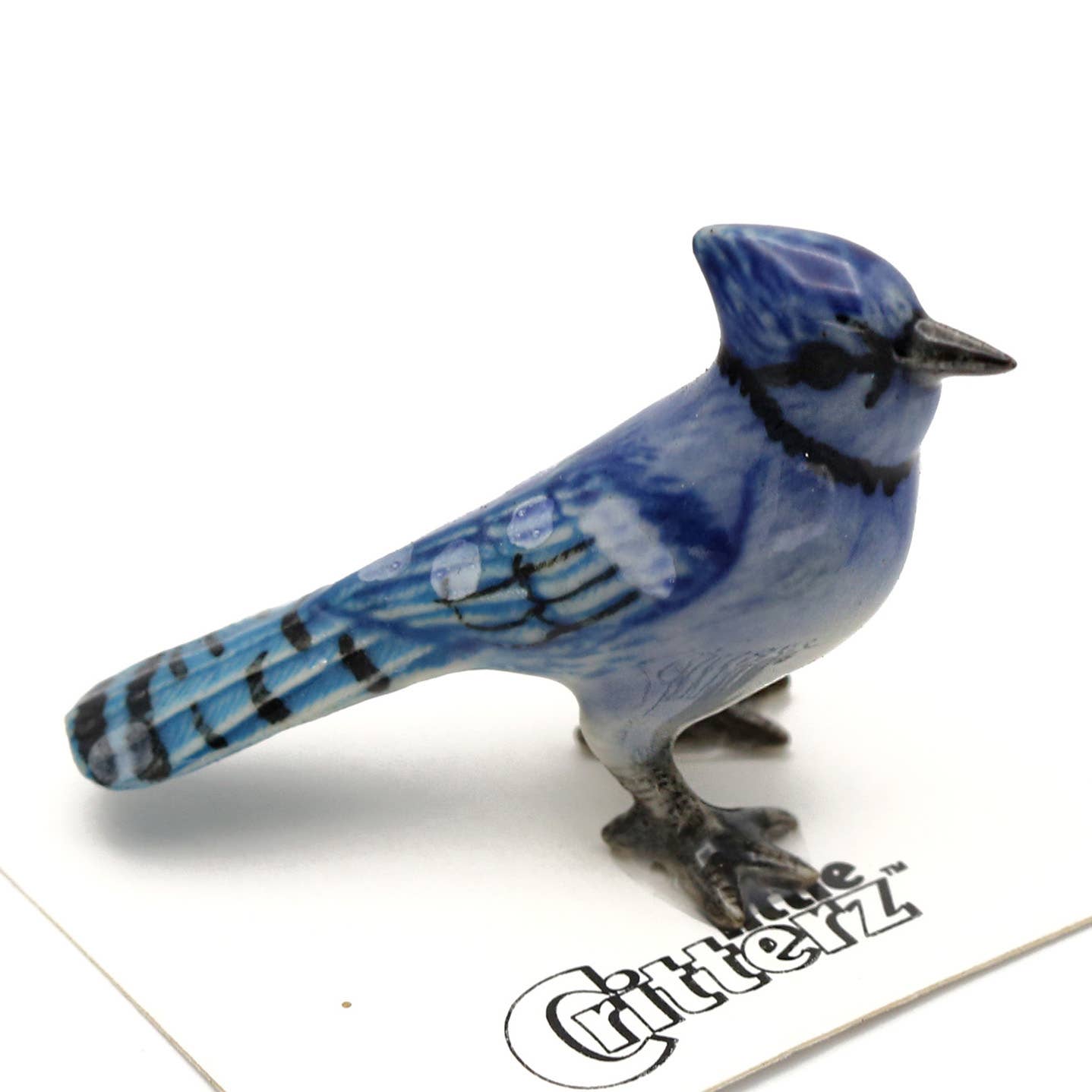 Mischief Bluejay Porcelain Miniature - Spiral Circle