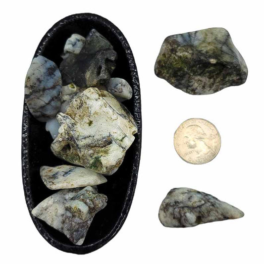 Mt. Shasta Opal | Tumbled - Spiral Circle