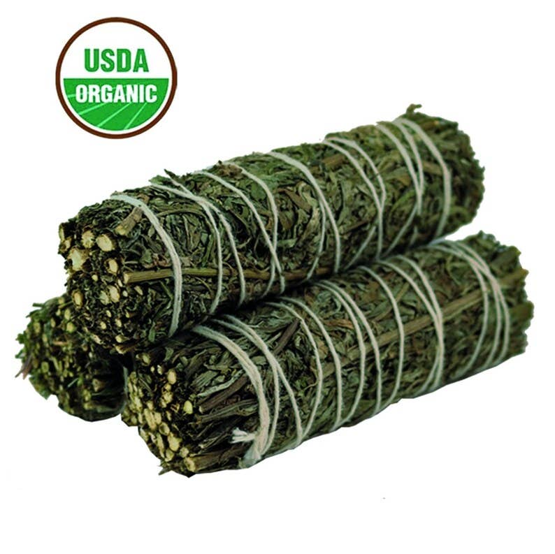 Mugwort Sage 4