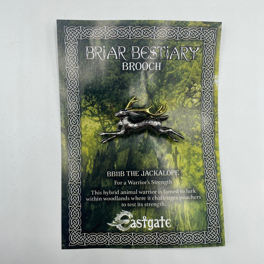 Mystical Broochâ€™s - Spiral Circle