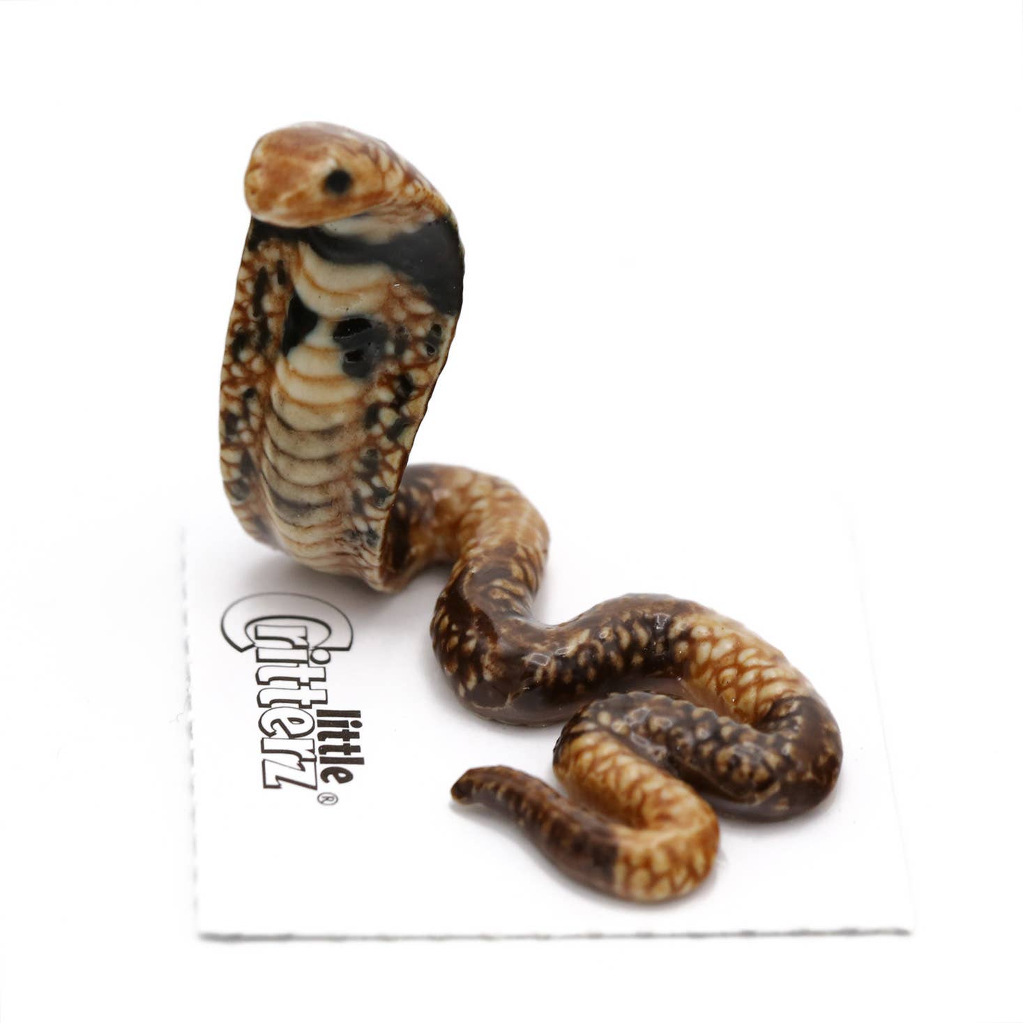 Naja Spectacled Cobra | Porcelain Miniature - Spiral Circle