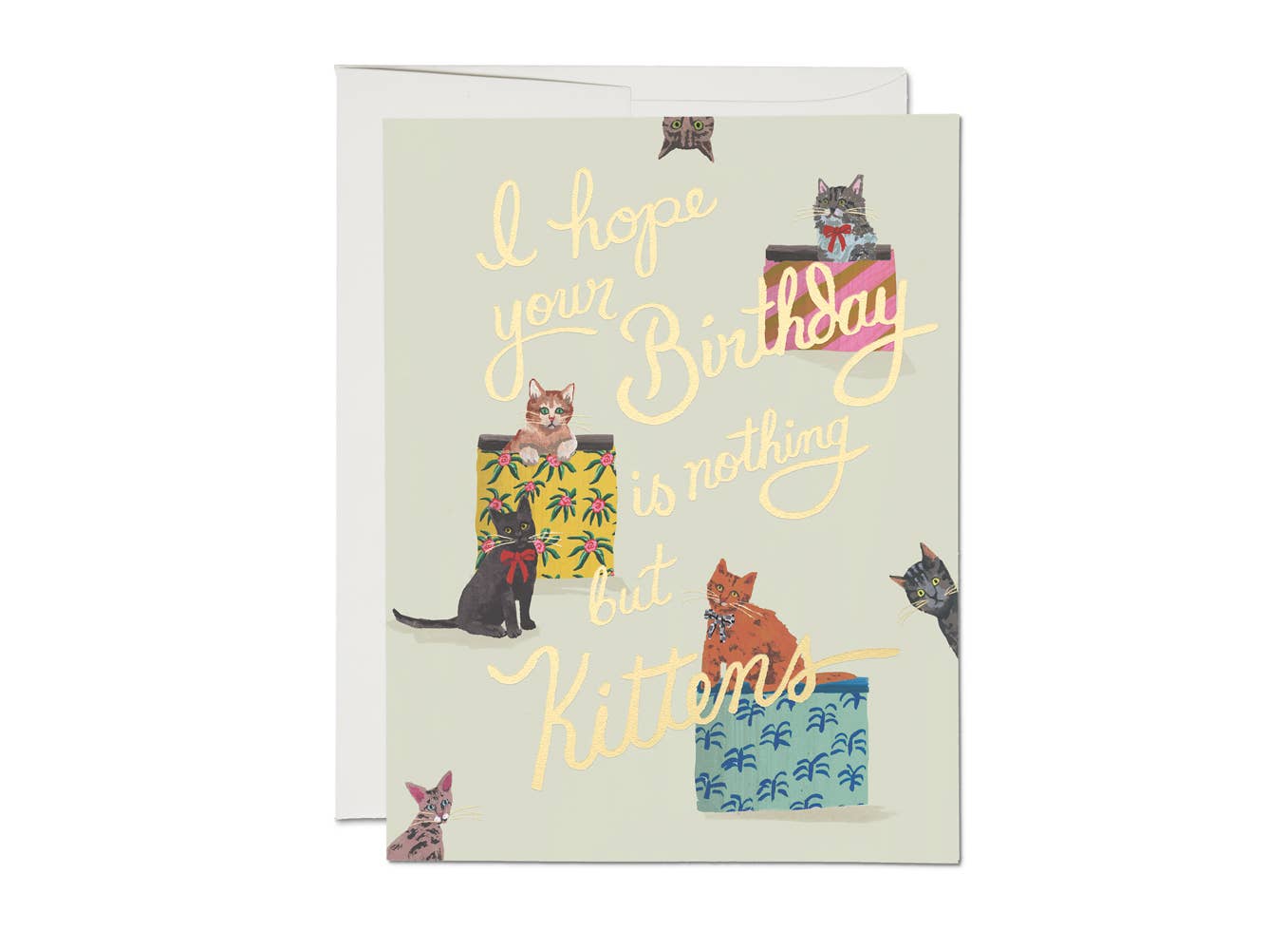 Nothing But Kittens | Birthday Greeting Card - Spiral Circle