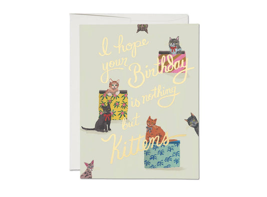 Nothing But Kittens | Birthday Greeting Card - Spiral Circle