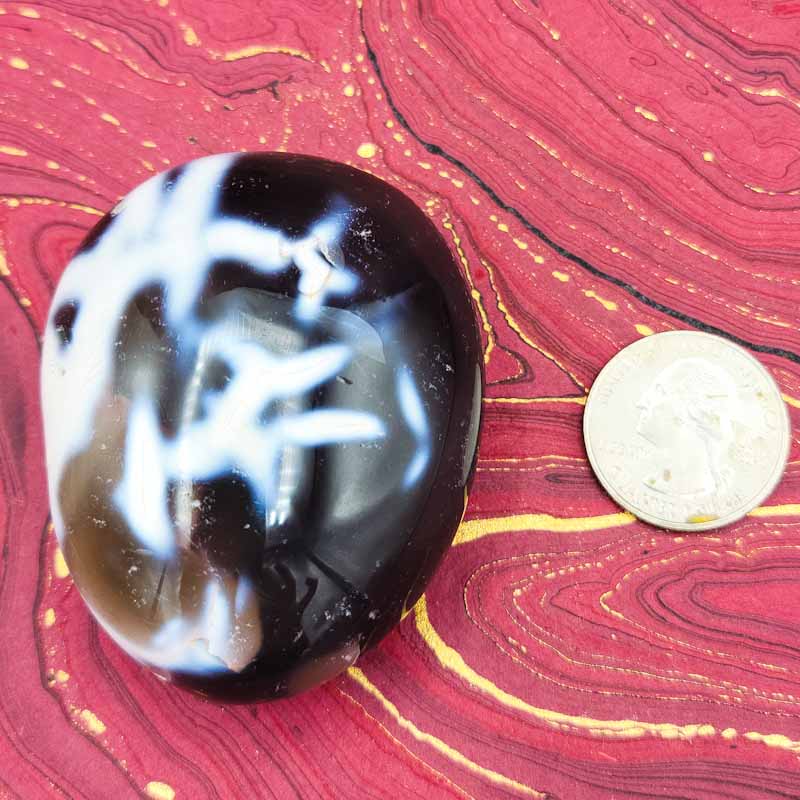 Orca Agate | Palm Stone - Spiral Circle