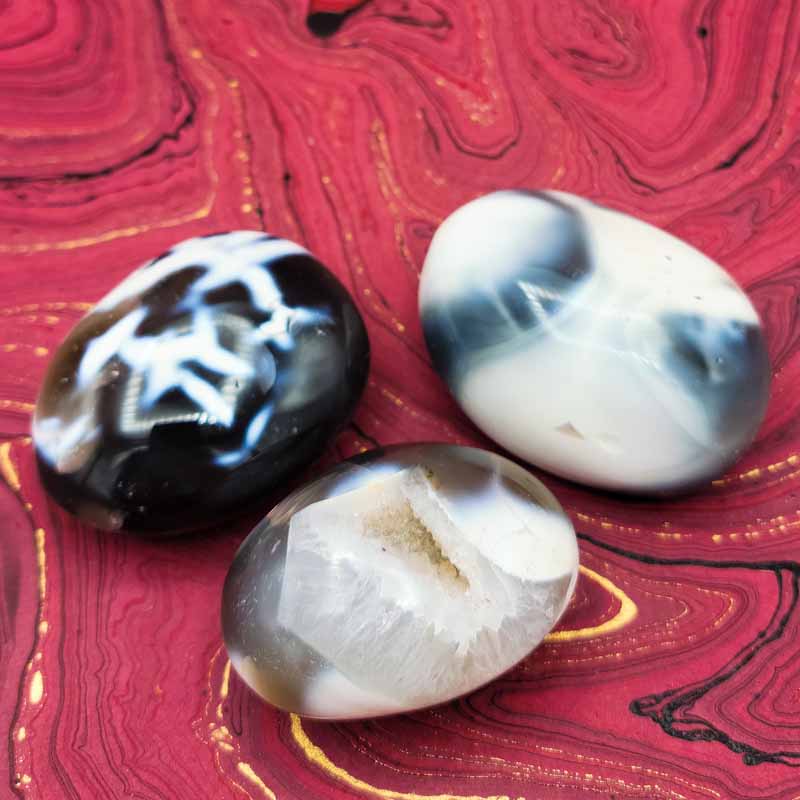 Orca Agate | Palm Stone - Spiral Circle