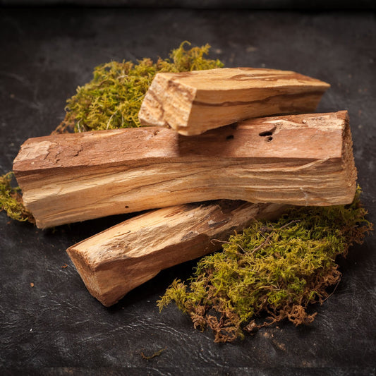 Palo Santo Natural Wood Incense | Single Piece - Spiral Circle