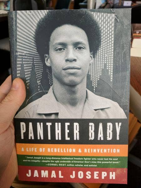 Panther Baby | A Life of Rebellion & Reinvention - Spiral Circle