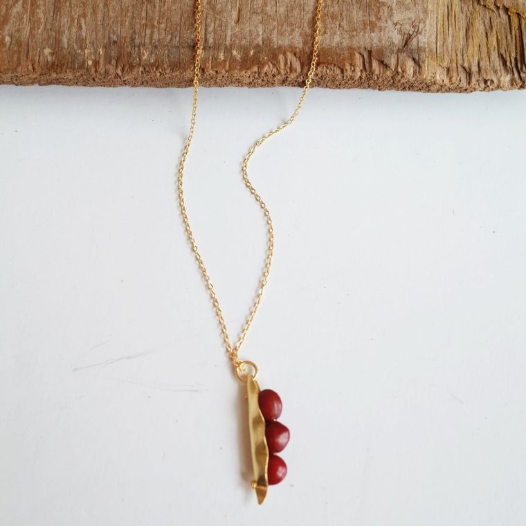 Pea in a Pod Seed Pendant - Spiral Circle
