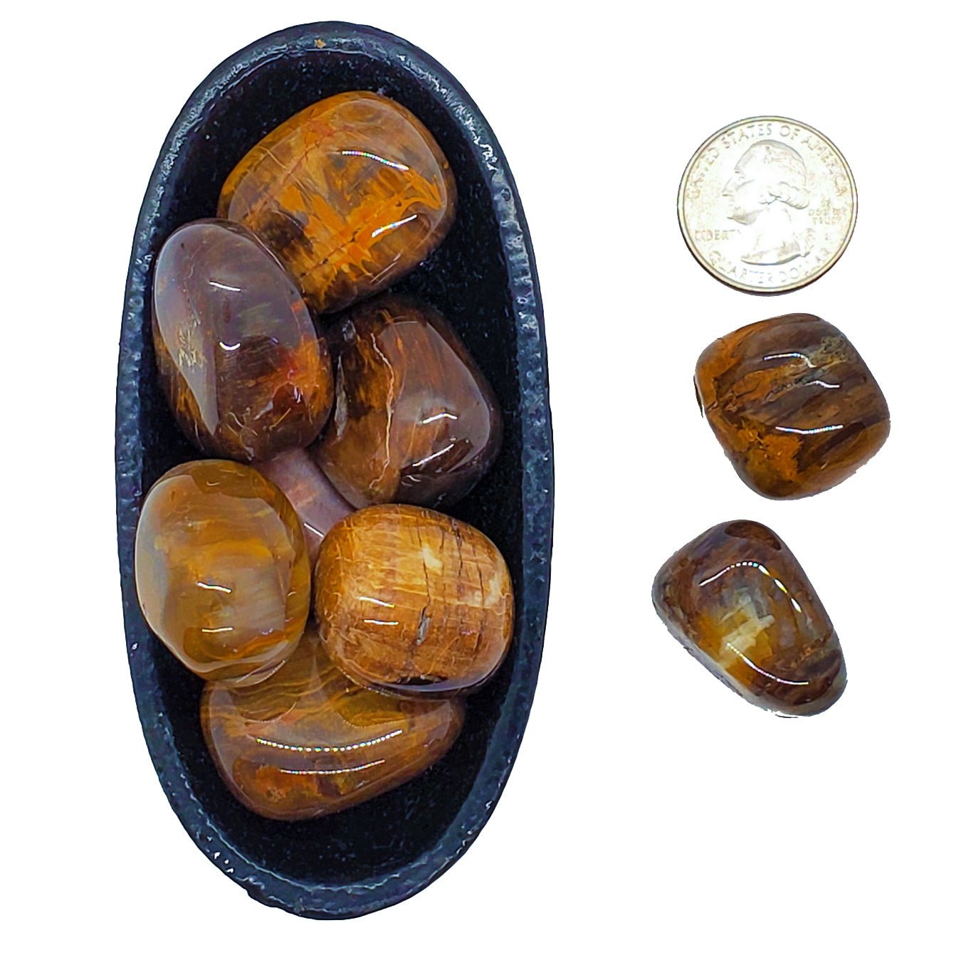 Petrified Wood - Fears be Gone - Spiral Circle