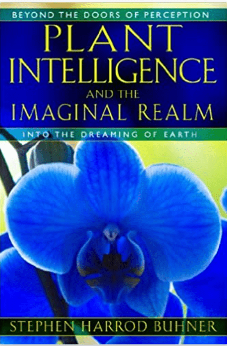 Plant Intelligence and the Imaginal Realm | Beyond the Doors of Perception Into the Dreaming of Earth - Spiral Circle
