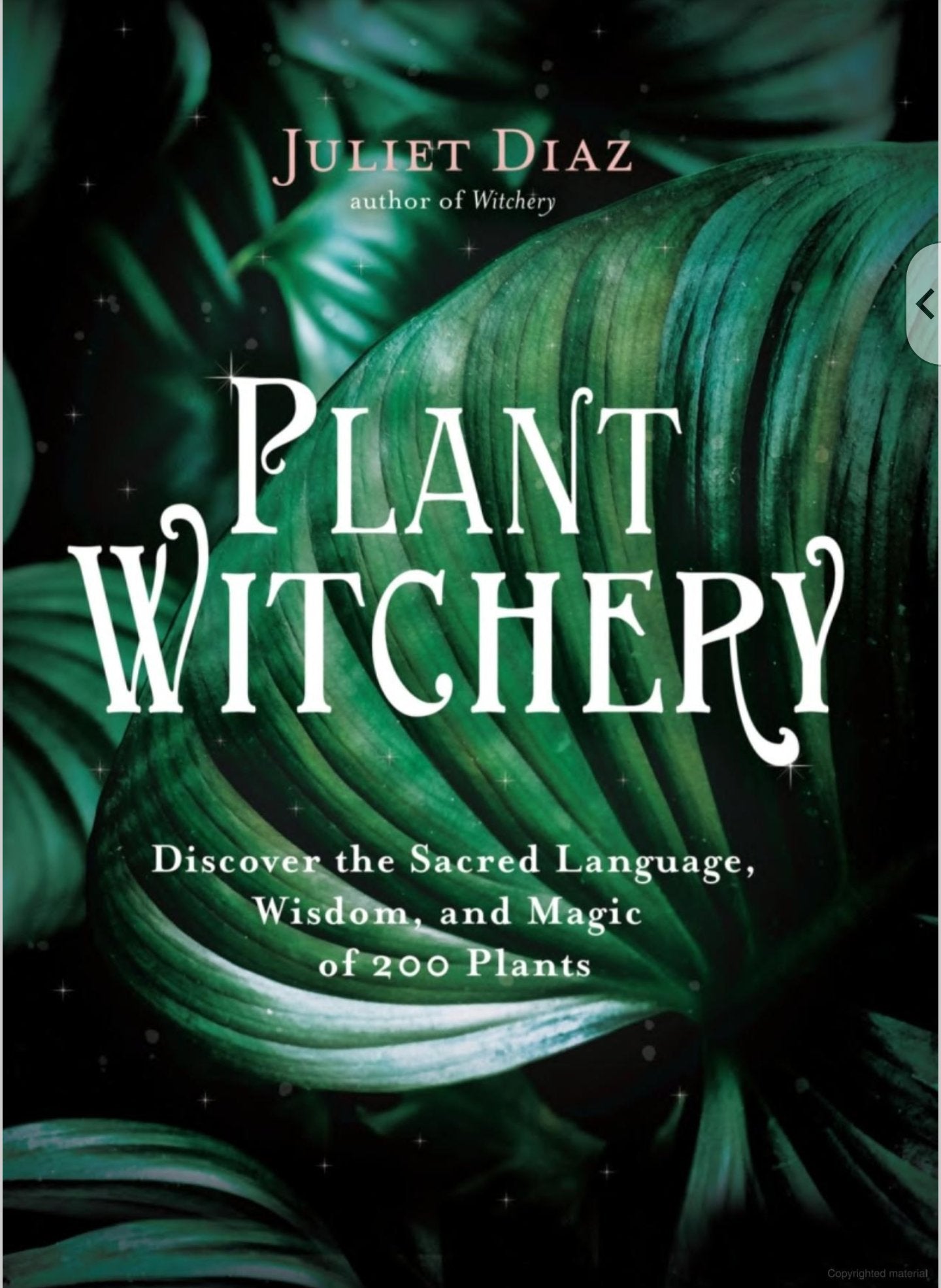 Plant Witchery | Discover the Sacred Language, Wisdom, and Magic of 200 Plants - Spiral Circle