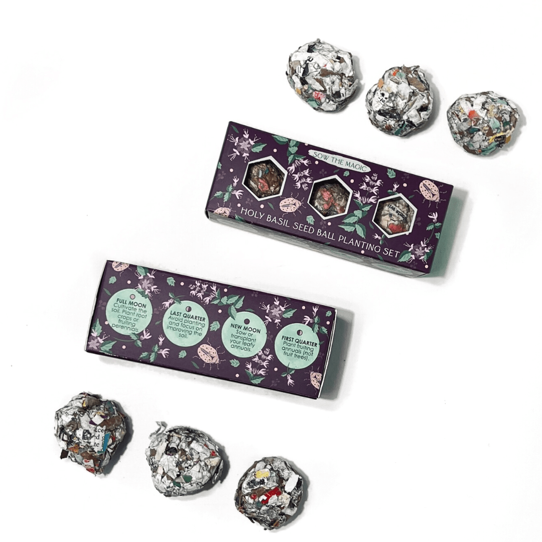 Protection (Holy Basil) Mini Seed Ball Gift Box Set - Spiral Circle