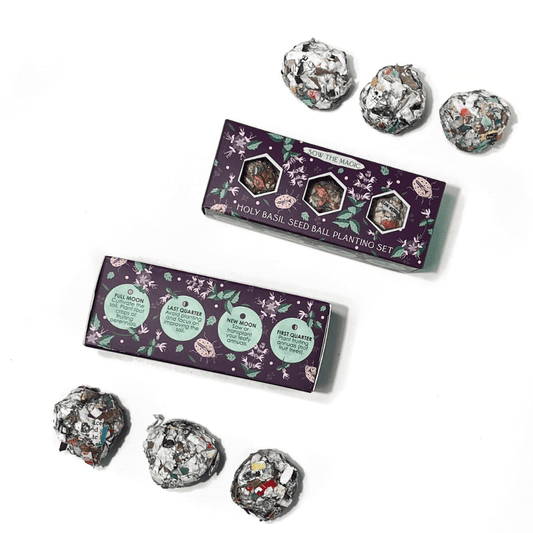 Protection (Holy Basil) Mini Seed Ball Gift Box Set - Spiral Circle