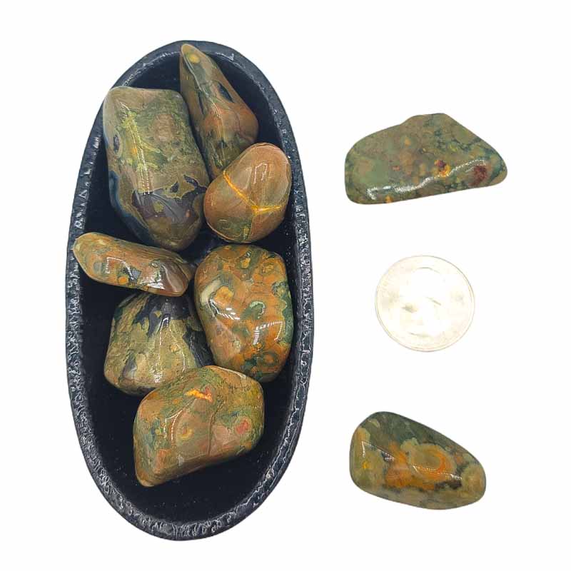 Rainforest Jasper aka Green Rhyolite | Tumbled | Self Worth - Spiral Circle