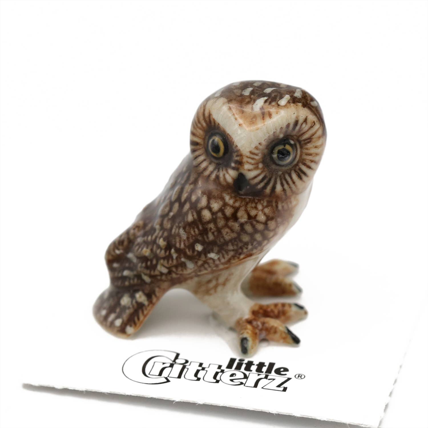 Sawyer Saw-whet Owl | Porcelain Miniature - Spiral Circle