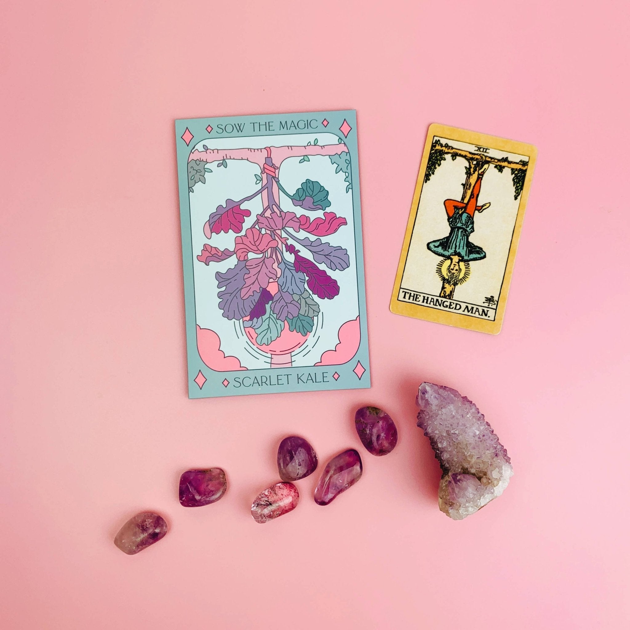 Scarlet Kale | Tarot Garden and Gift Seed Packet - Spiral Circle