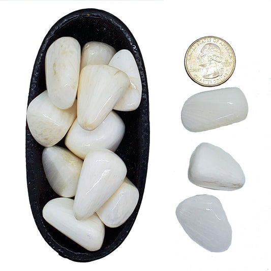 Scolecite | Tumbled | Inner peace - Spiral Circle