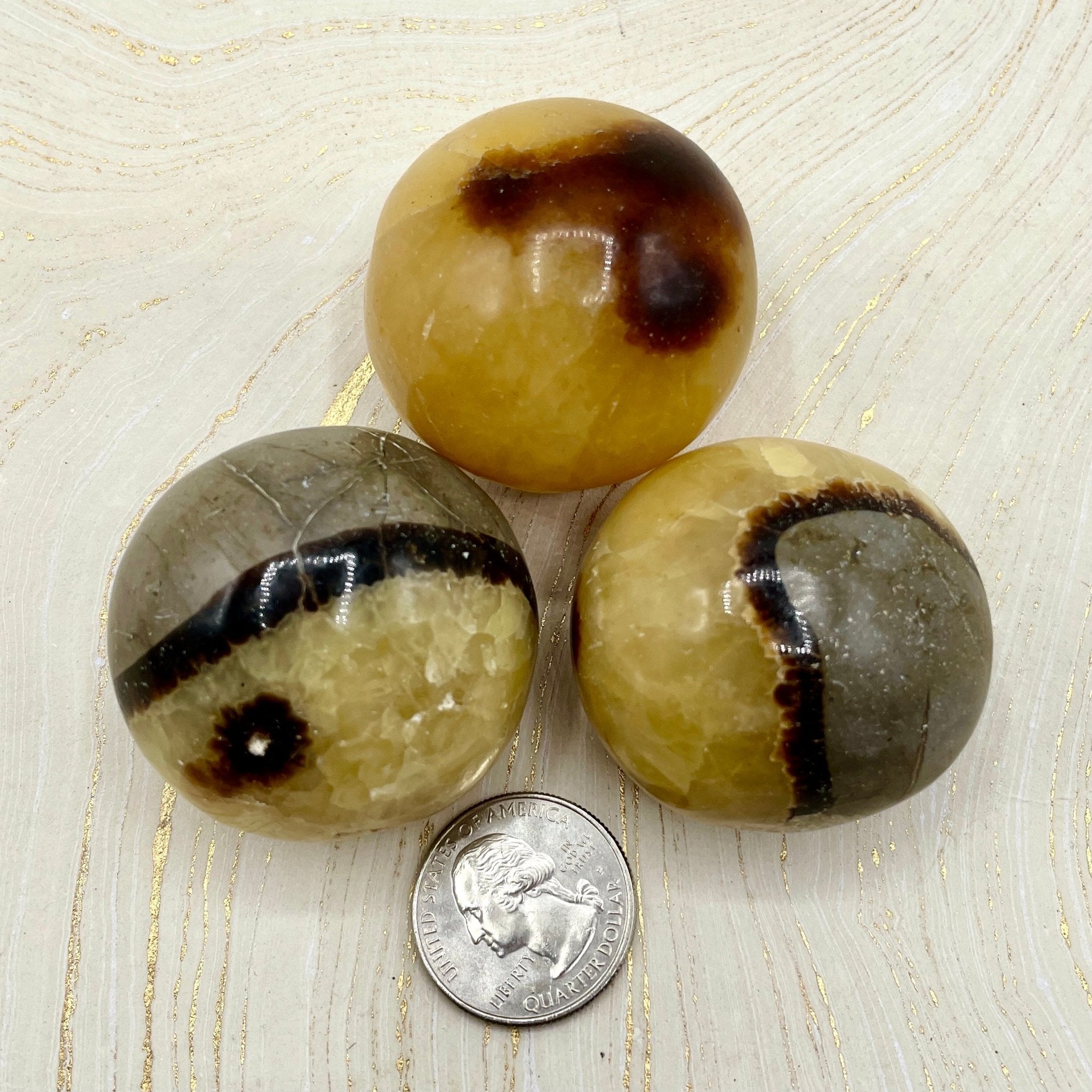 Septarian Eggs | Palm Stone - Spiral Circle