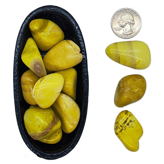 Serpentine - regeneration, luck - Spiral Circle