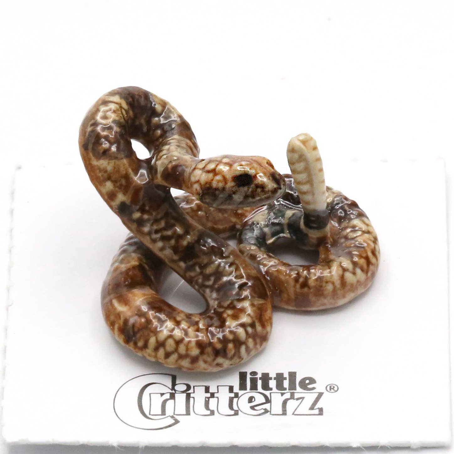 Shakes Rattlesnake | Porcelain Miniature - Spiral Circle