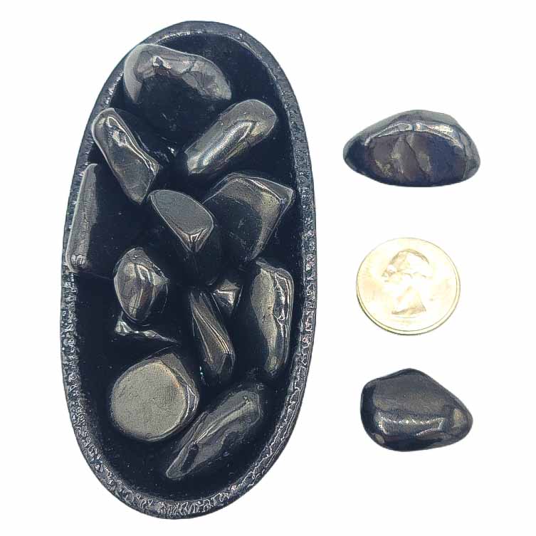 Shungite | Stone of Transformation - Spiral Circle