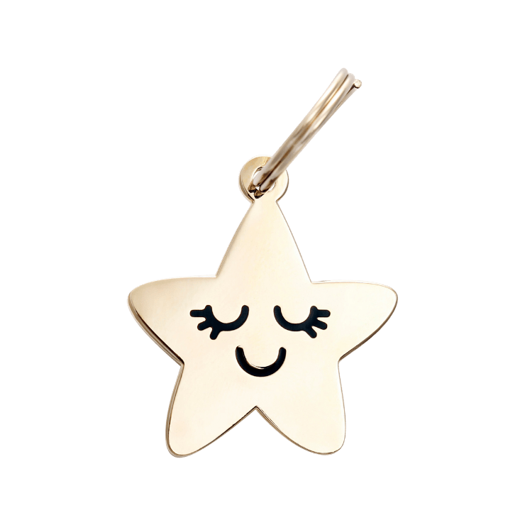 Smiling Star Pet ID Tag - Spiral Circle