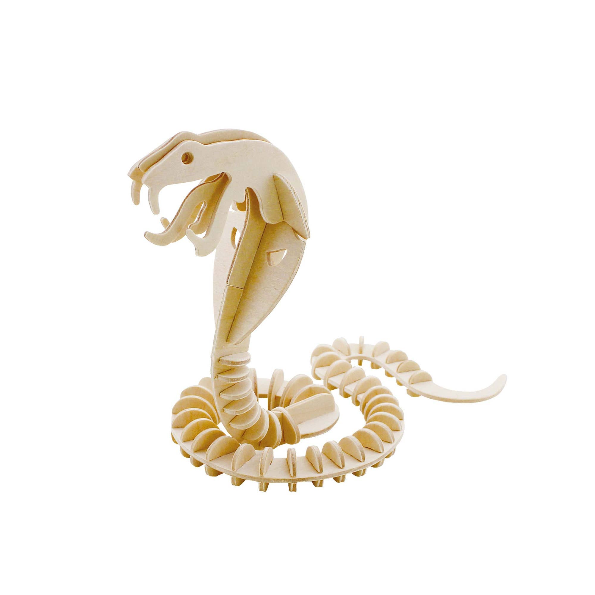 Snake | 3D Wooden Puzzle - Spiral Circle