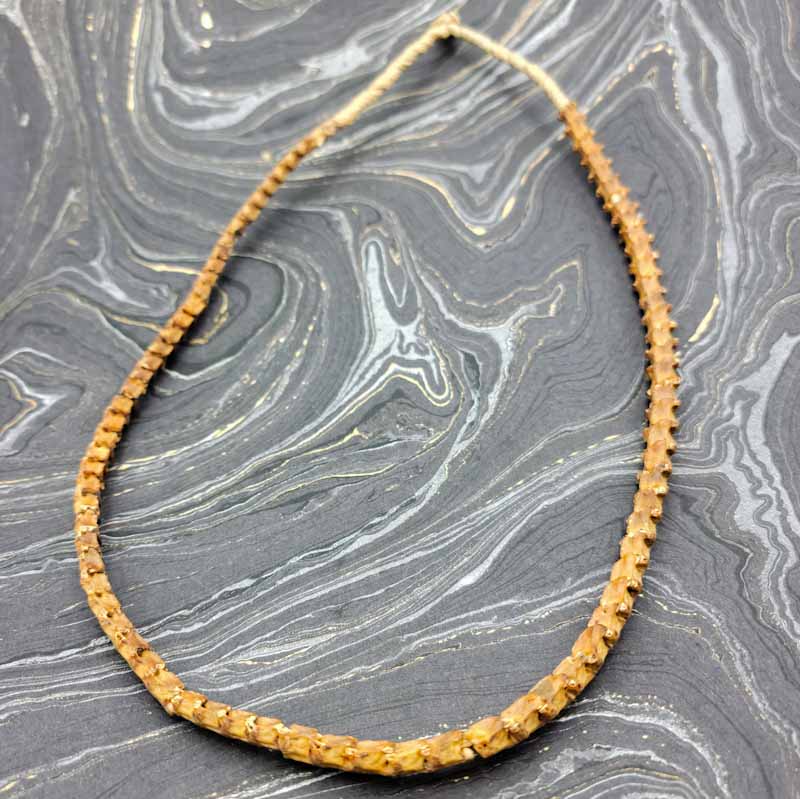 Snake Bone Necklace - Spiral Circle