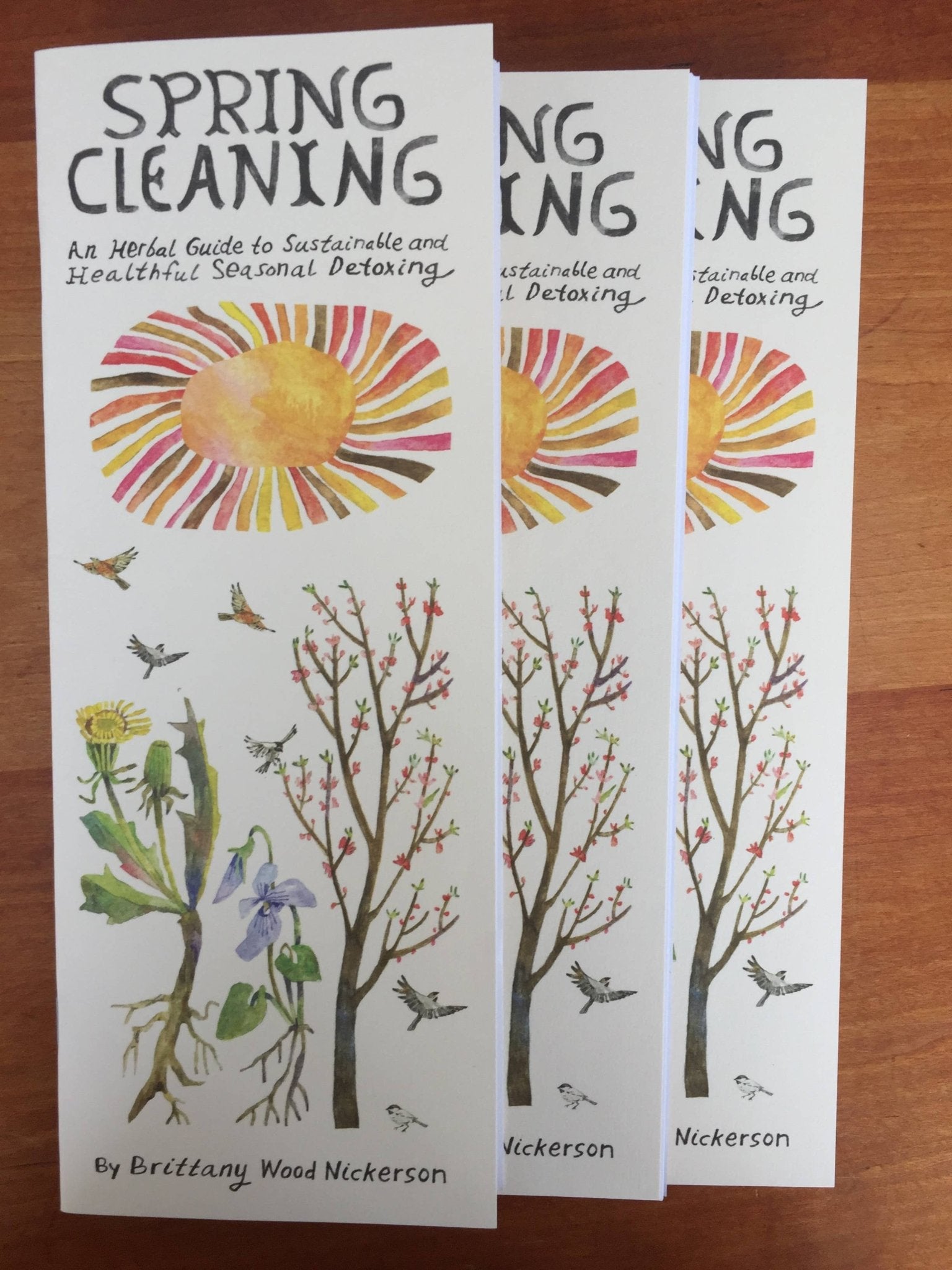 Spring Cleaning - Spiral Circle