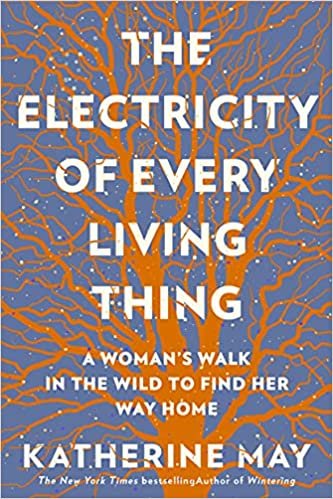 The Electricity of Everything - Spiral Circle