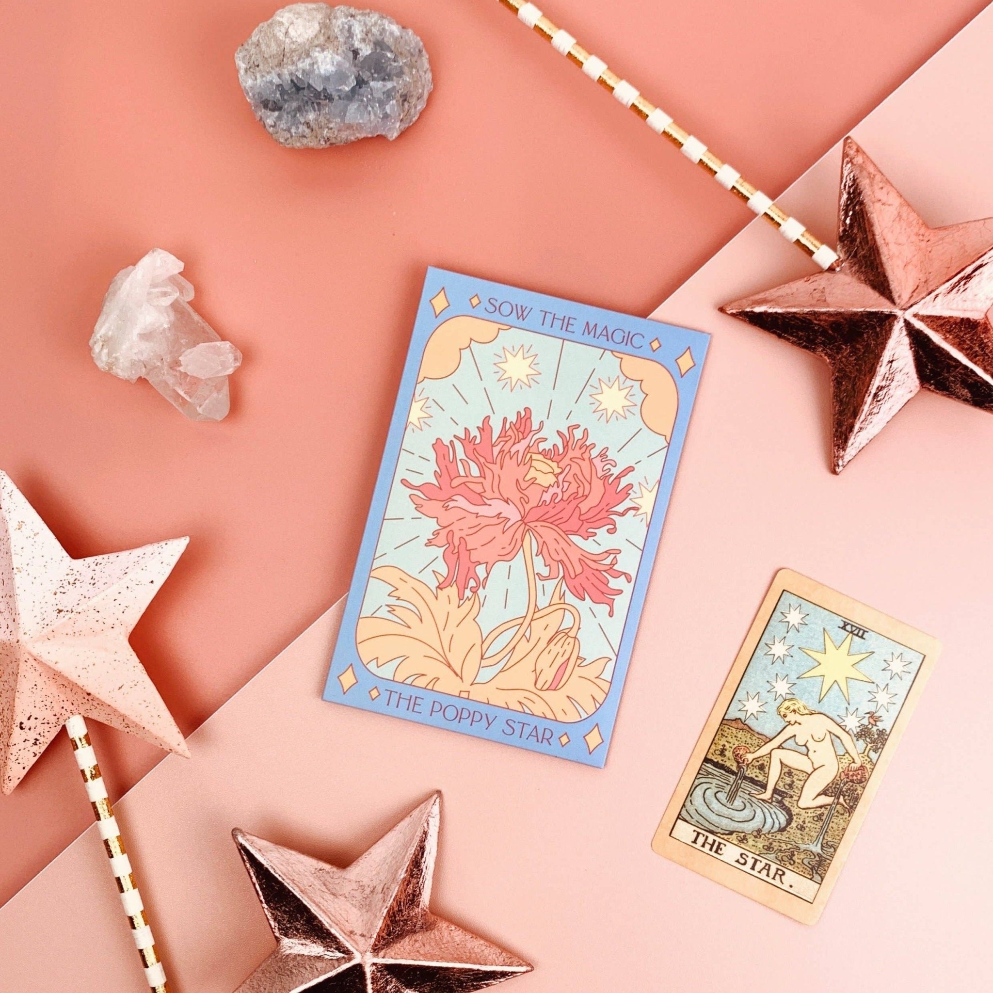 The Poppy Star | Tarot Garden and Gift Seed Packet - Spiral Circle