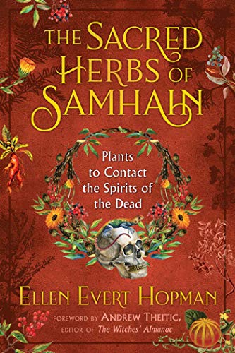 The Sacred Herbs of Samhain: Plants to Contact the Spirits of the Dead - Spiral Circle