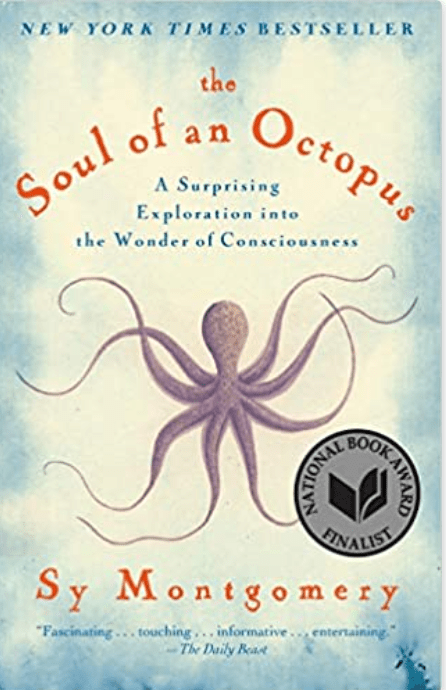 The Soul of an Octopus | A Surprising Exploration into the Wonder of Consciousness - Spiral Circle