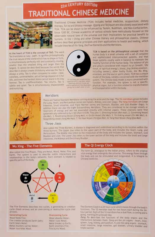 Traditional Chinese Medicine - Two Sided Color Informational Chart - Spiral Circle