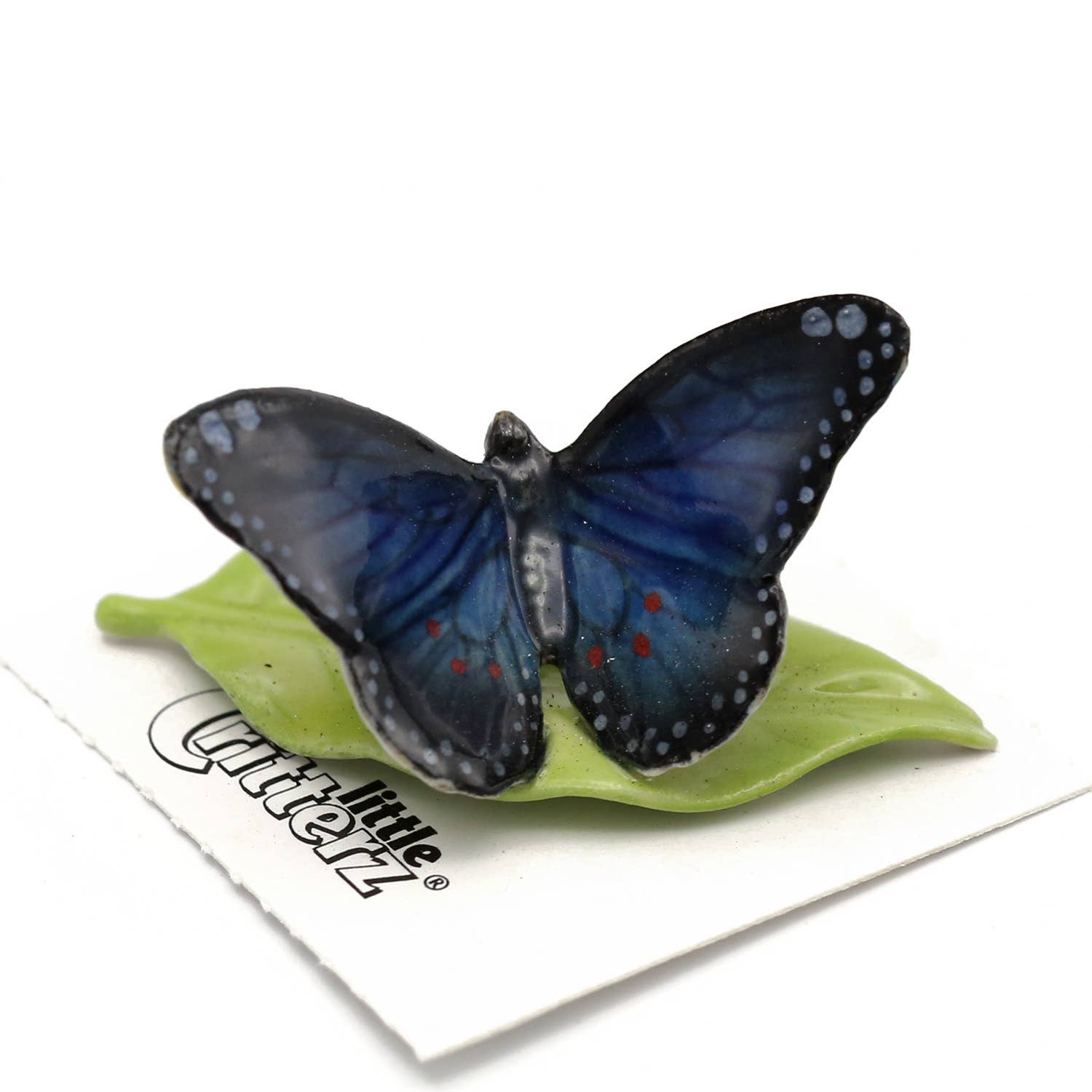 Venus Blue Morpho Butterfly | Porcelain Miniature - Spiral Circle