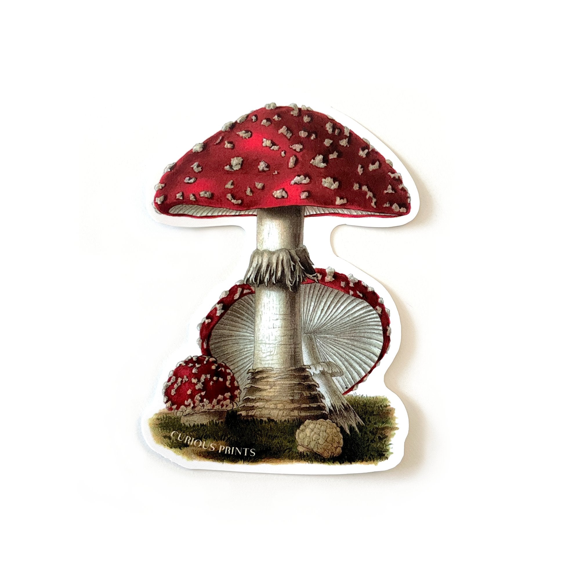 Vintage Magic Mushroom Waterproof Sticker - Spiral Circle