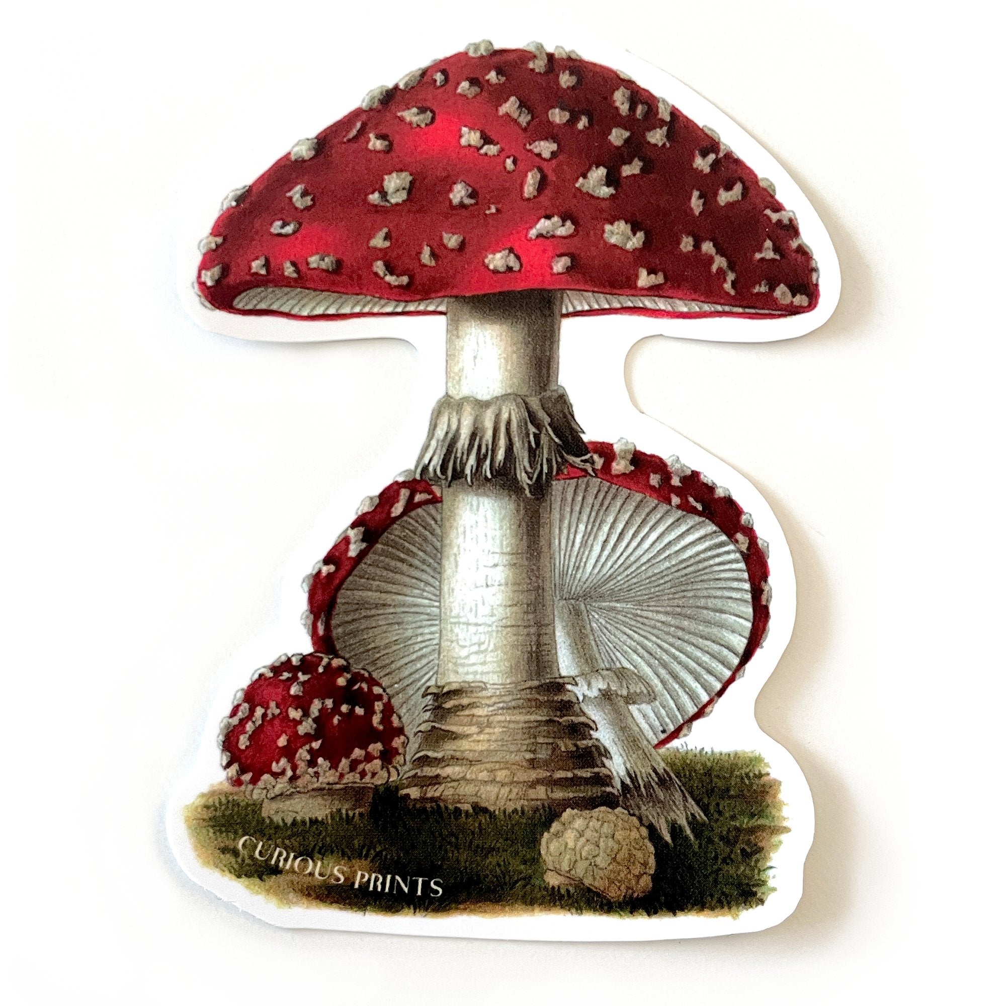 Vintage Magic Mushroom Waterproof Sticker - Spiral Circle