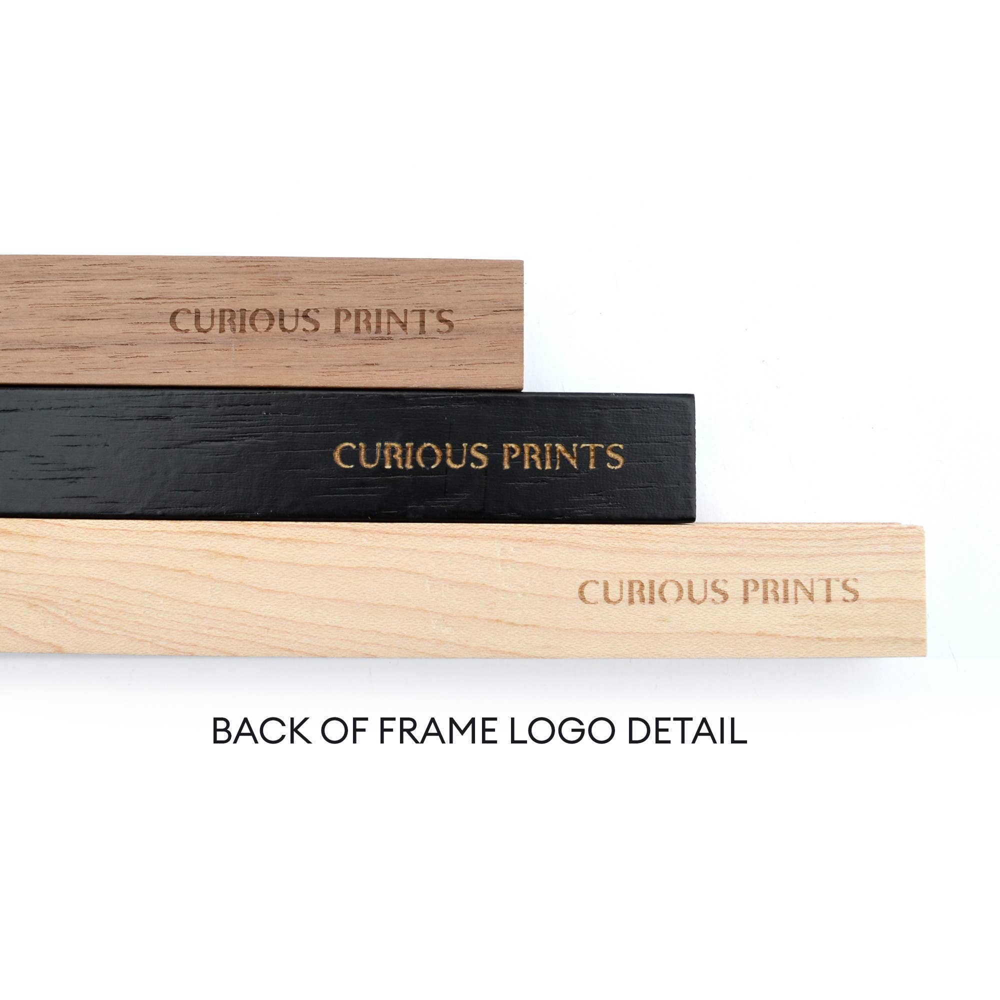 Vintage Millot Plumes Bird Feather Print - Spiral Circle