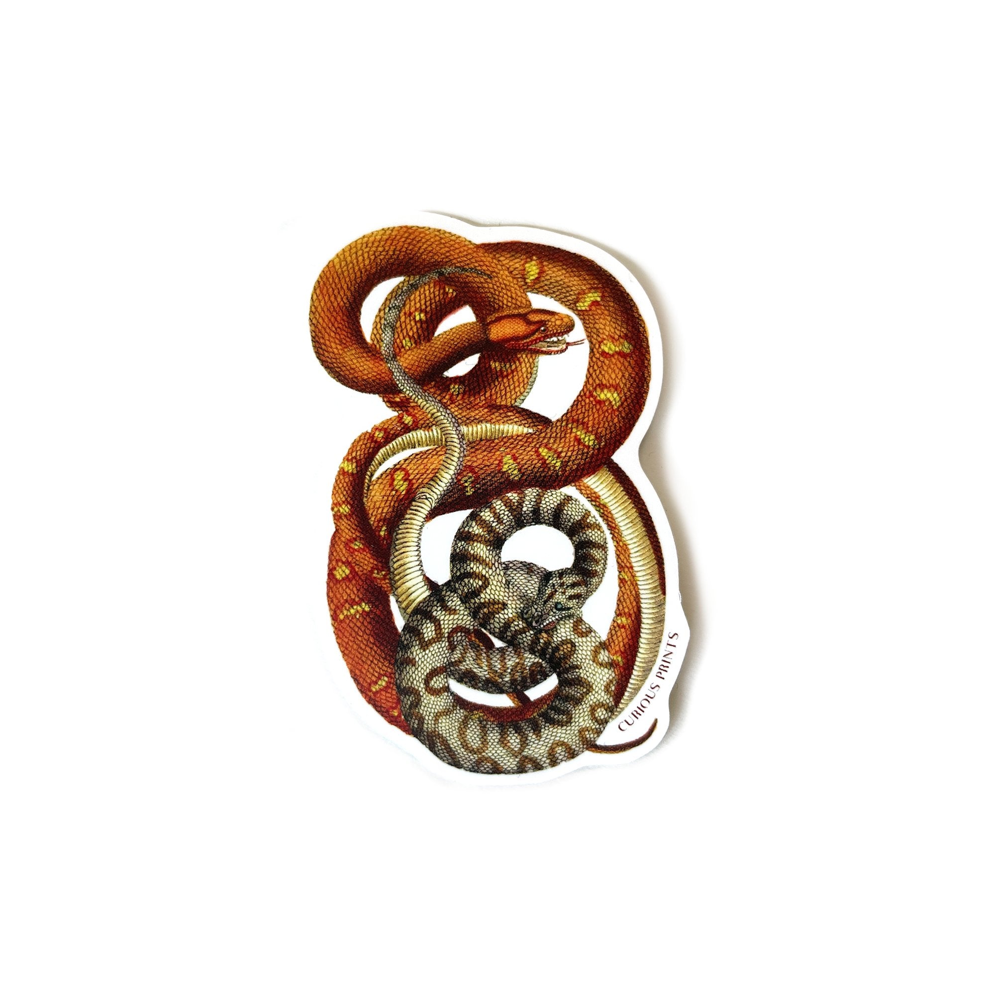 Vintage Snakes Waterproof Sticker - Spiral Circle