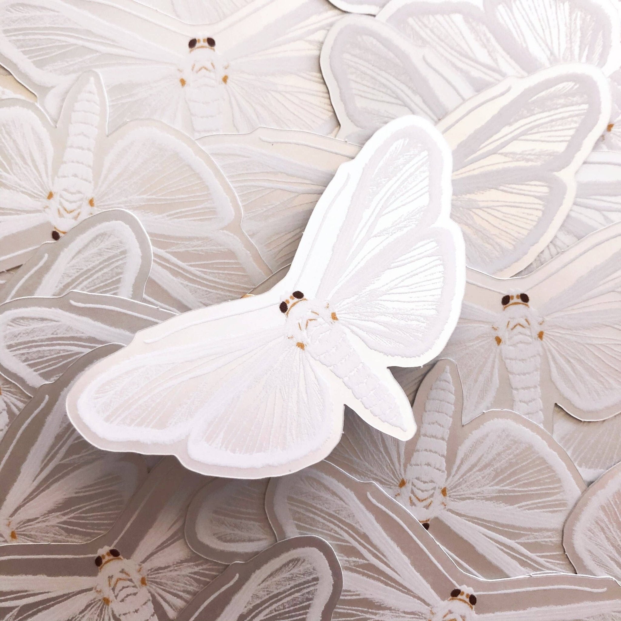 White Satin Moth Matte Holographic Sticker - Spiral Circle