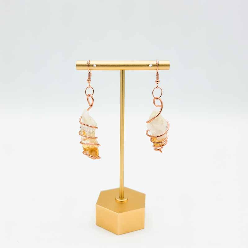 Wire-Wrapped Dangle Earrings - Spiral Circle