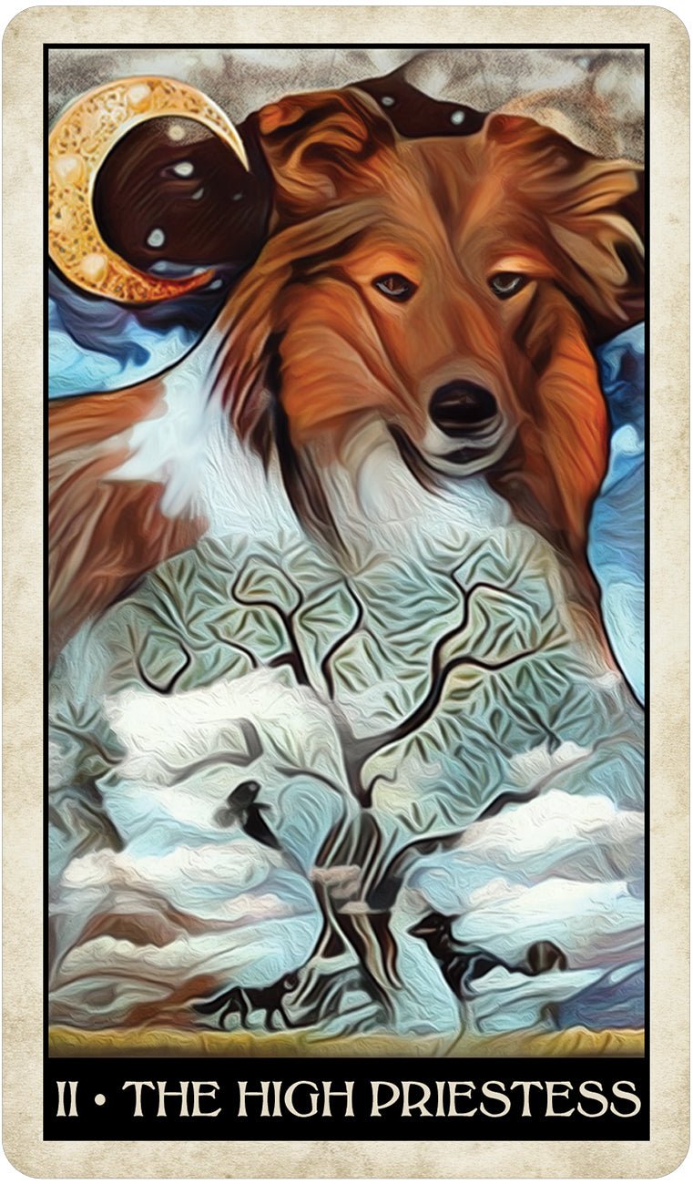 Wise Dog Tarot - Spiral Circle