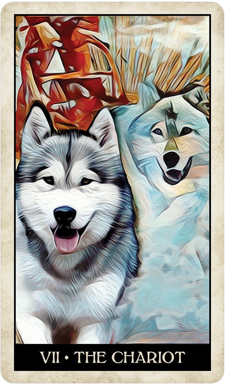 Wise Dog Tarot - Spiral Circle