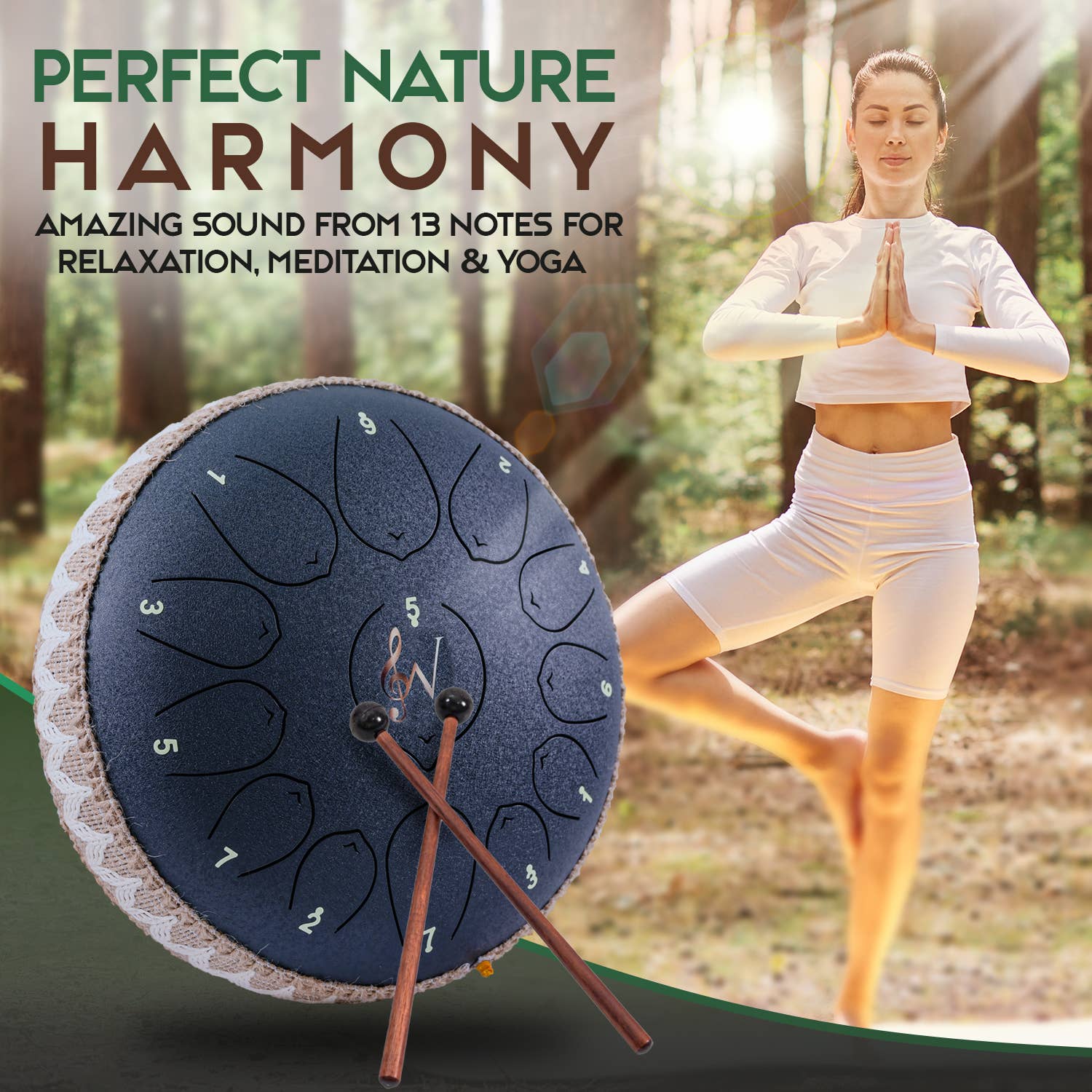 Wise Harmony Steel Tongue Drum 12 Inch 13 Notes - Spiral Circle