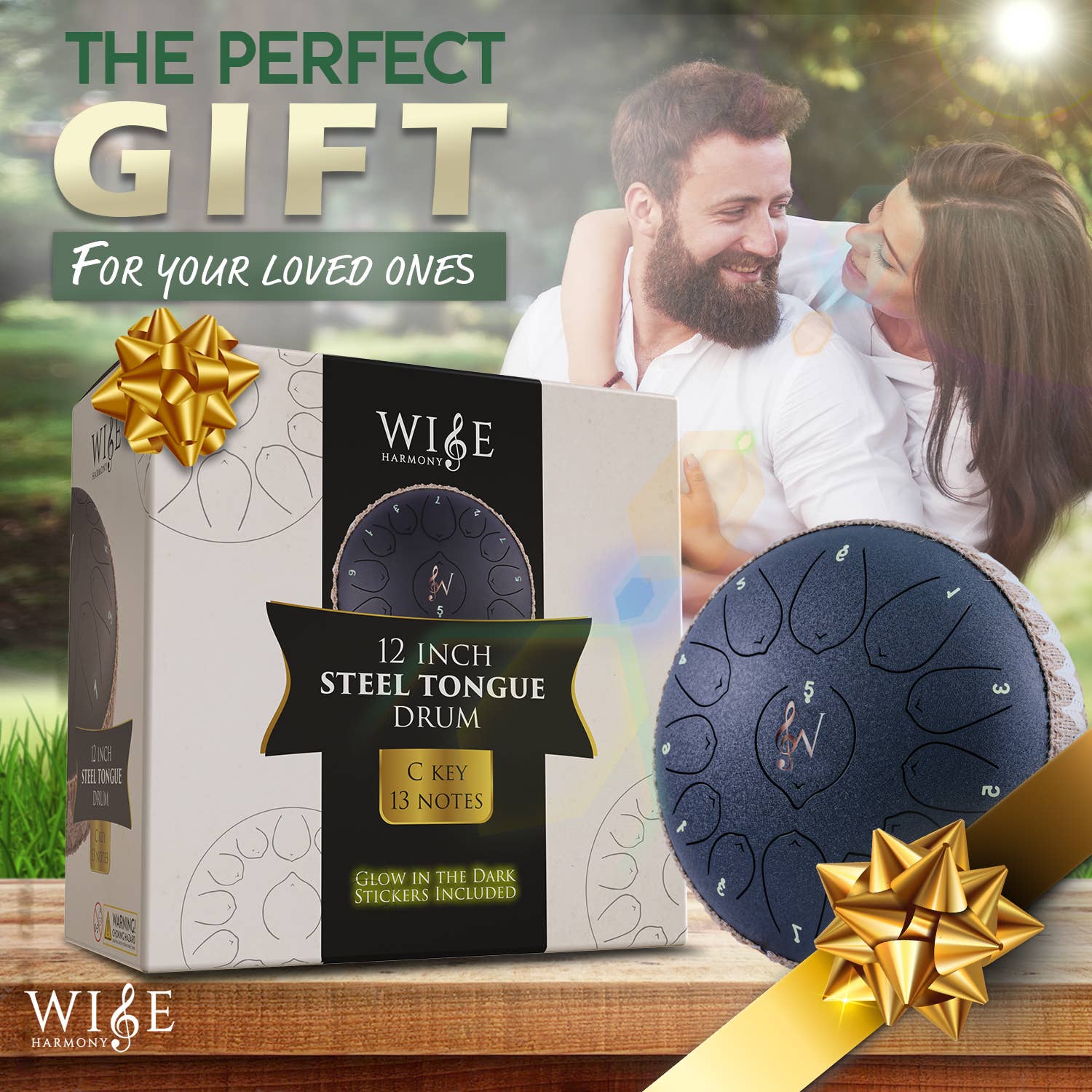 Wise Harmony Steel Tongue Drum 12 Inch 13 Notes - Spiral Circle