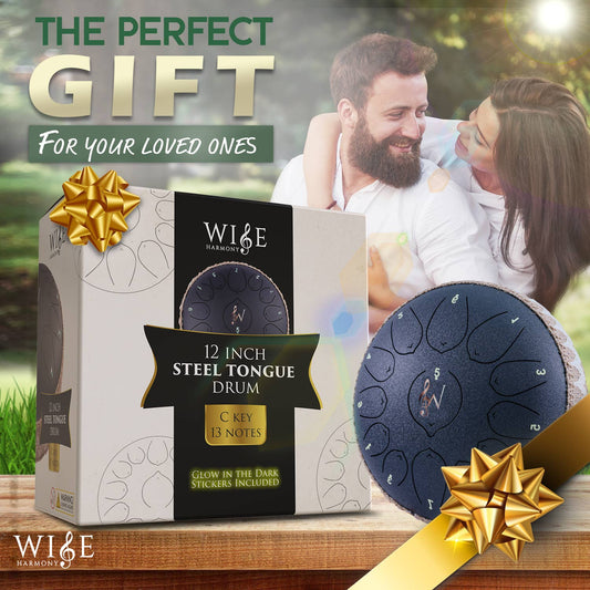 Wise Harmony Steel Tongue Drum 12 Inch 13 Notes - Spiral Circle