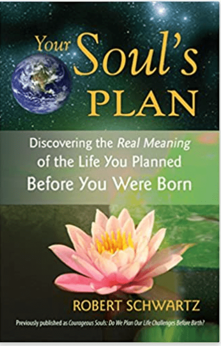 Your Soul's Plan: Discovering the Real Meaning of the Life You Planned Before You Were Born - Spiral Circle