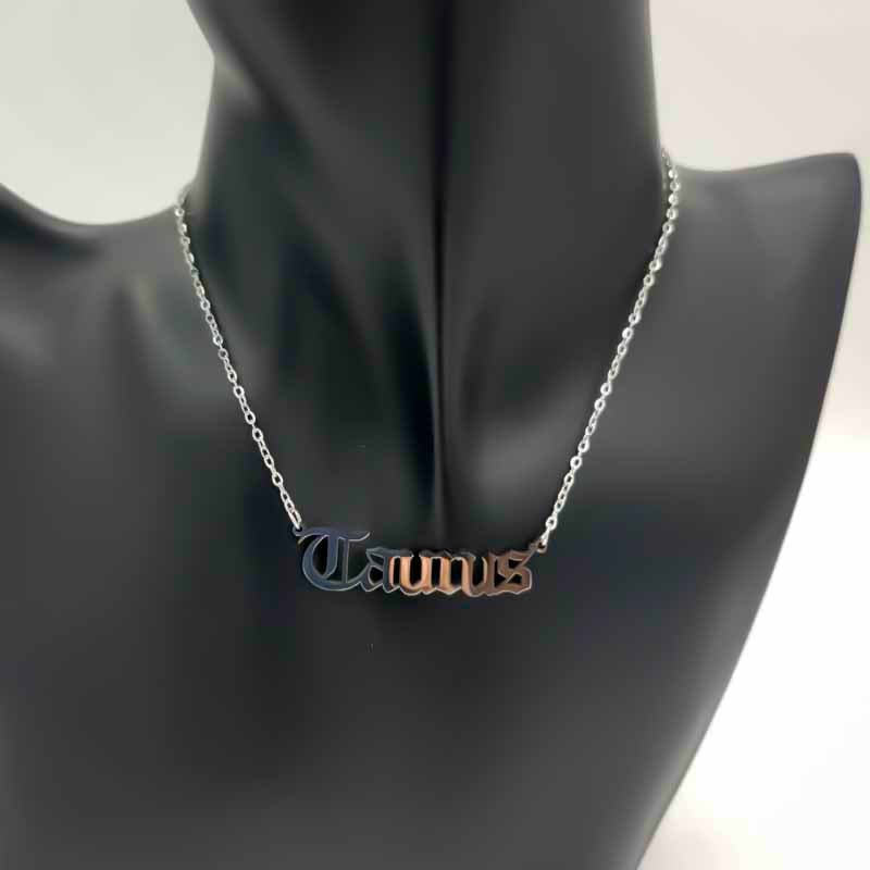 Zodiac Necklace | Silver - Spiral Circle